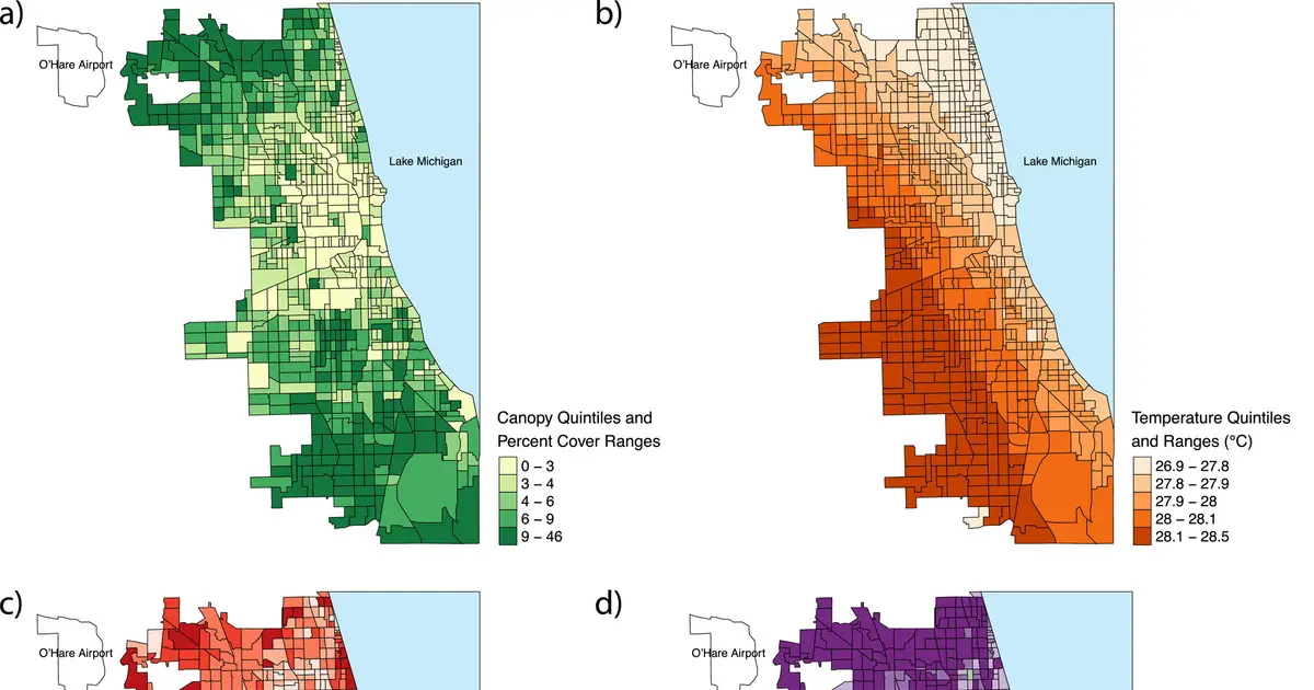 As urban tree shade shrinks, mortality rises