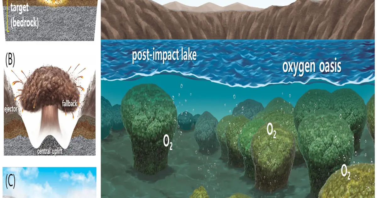 Asteroid impact site reveals possible traces of early life