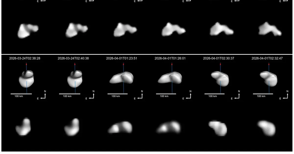 Asteroid Nysa's rare three-lobed structure challenges formation models