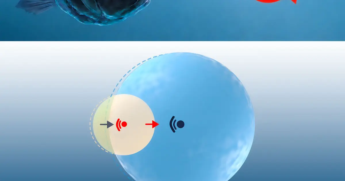 Physicists discover attractive forces between molecular condensates may cause running off