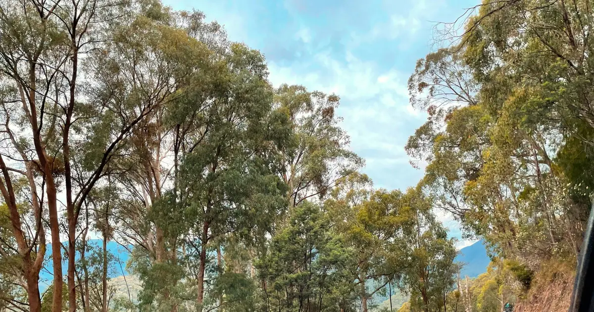 What happened to Australia's snow season? A climate expert explains