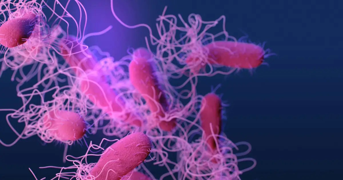 Hitting bacteria hard and early with diverse phage cocktails may curb resistance