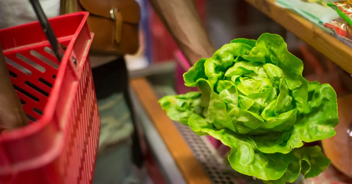 When consumers search 'cyclospora,' bagged salad sales take the hit