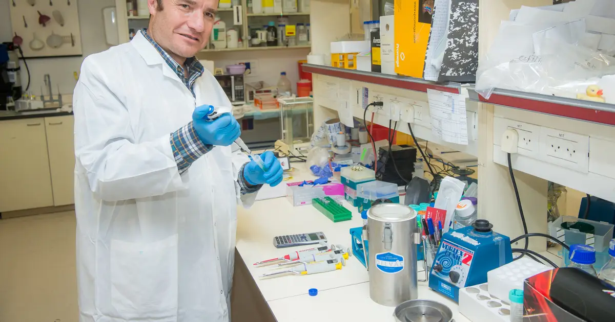 SIRT6 protein could protect against age-related breakdown in chromatin, possibly help reverse aging