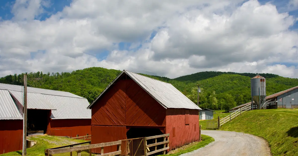 Study identifies which bacteria trigger the 'farm effect' that makes children less prone to allergies