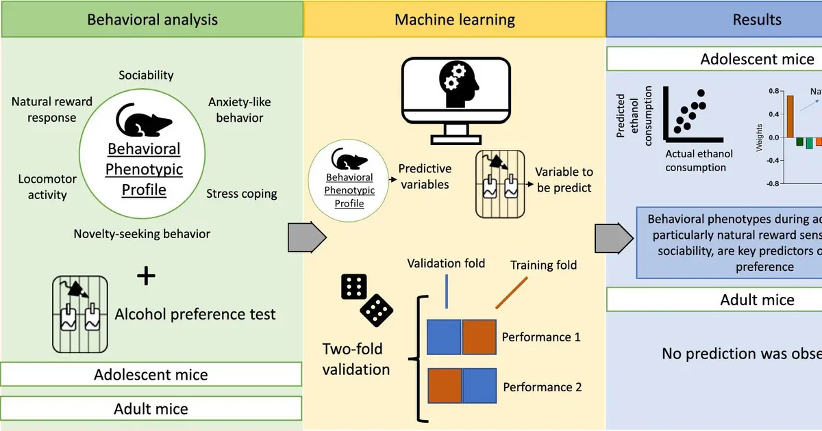 Behavioral traits in adolescence predict preference for alcohol , AI analysis finds