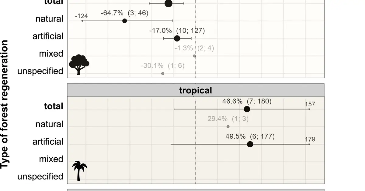 Biodiversity in production forests: Both costs and benefits shape the financial picture