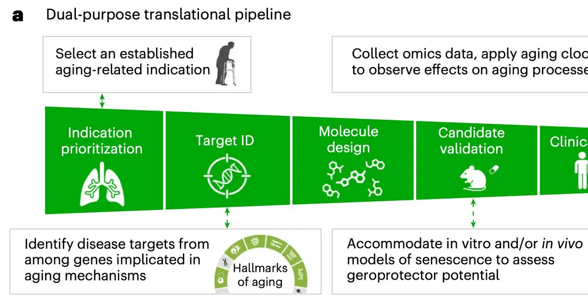 Blood protein analysis suggests a lung disease drug could be fighting aging at the same time