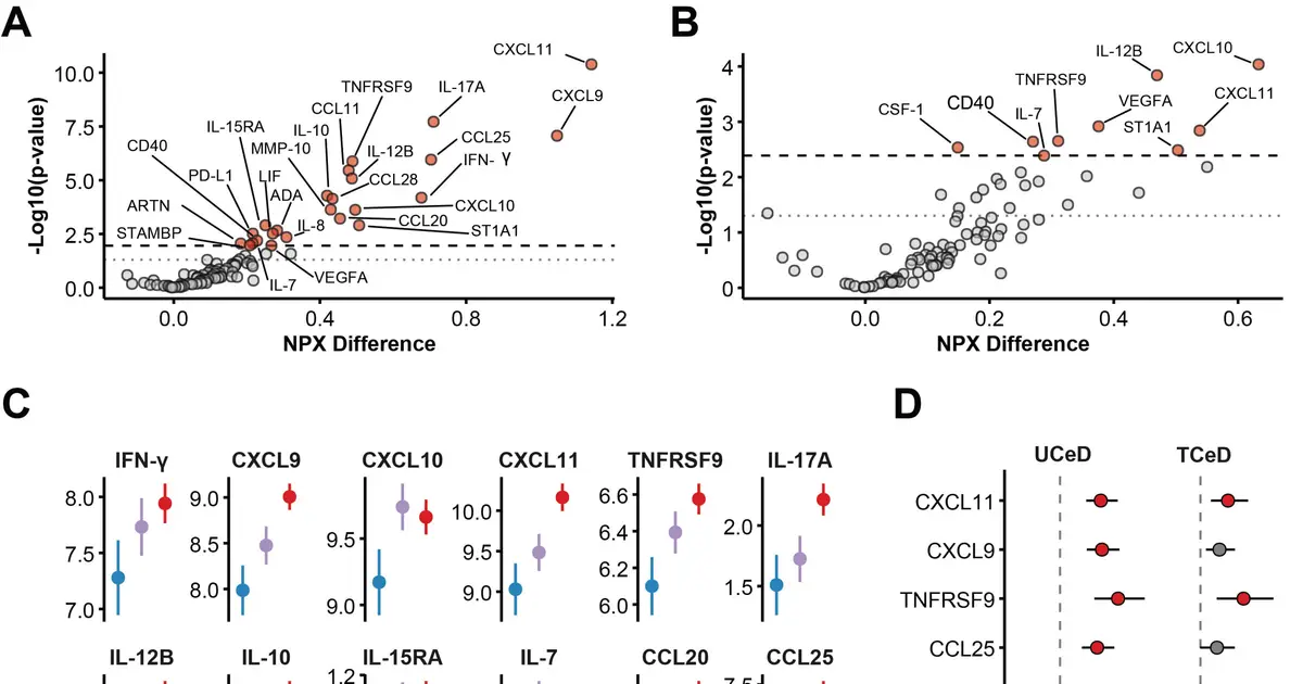 Blood proteins may offer new clues to gut health in celiac disease