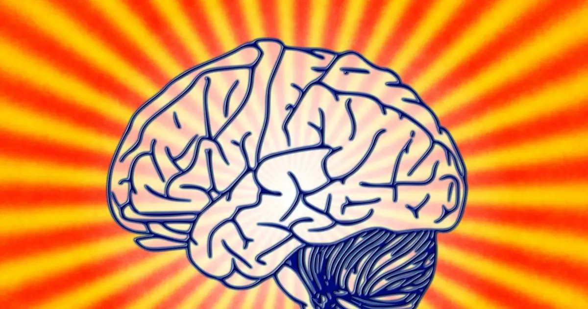 Five tips to make your memory work more effectively