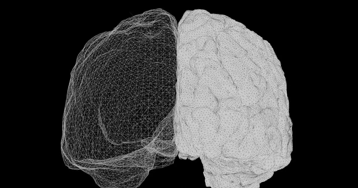 Brain's rhythm signals may help memory circuits communicate