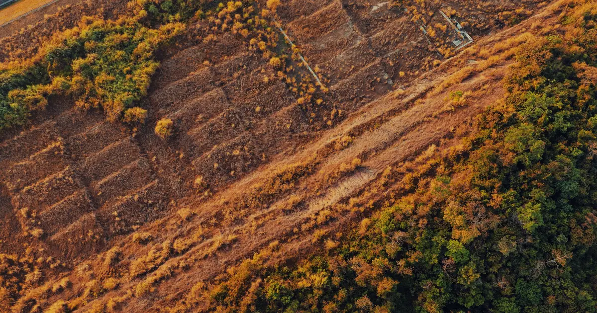 Brazil has made gains against Amazon deforestation, but lasting protection is a challenge