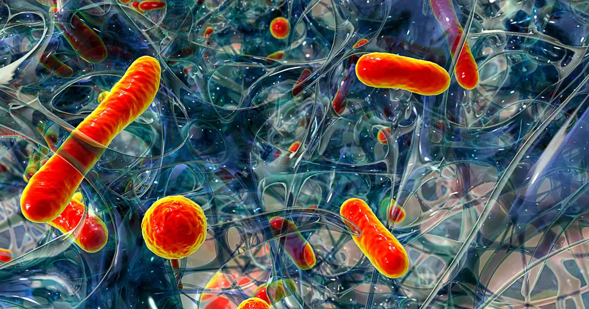 Biofilm streamers harden under flow , making bacterial infections harder to treat