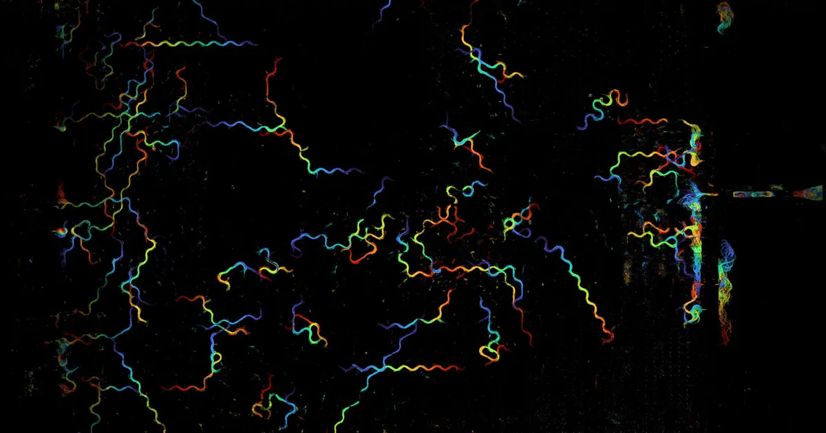 Bringing it all into focus—computational microscope captures 25.2 billion pixels per second across a wide field of view
