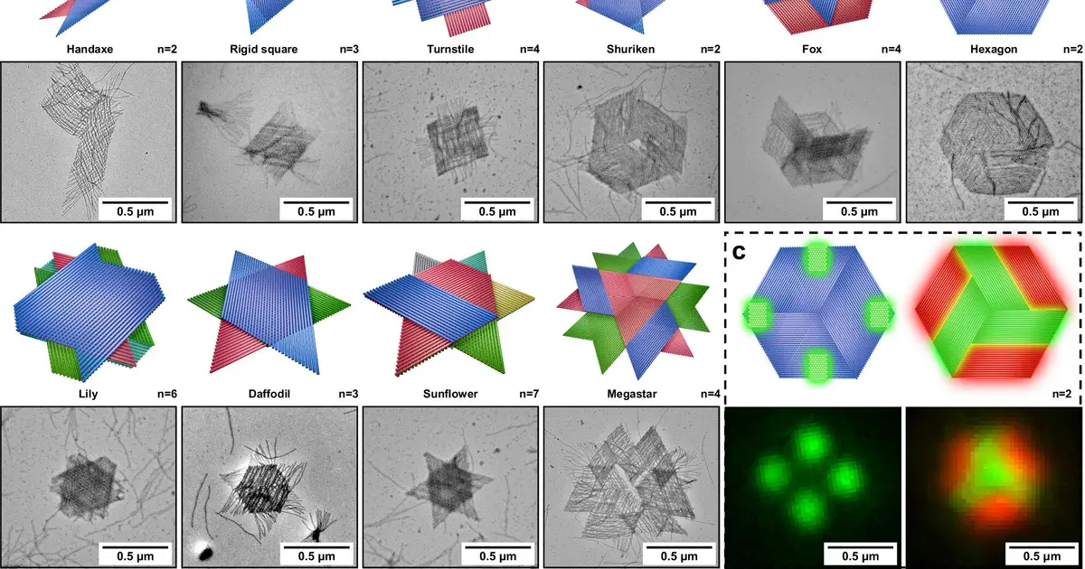 Building big with DNA gets a software upgrade