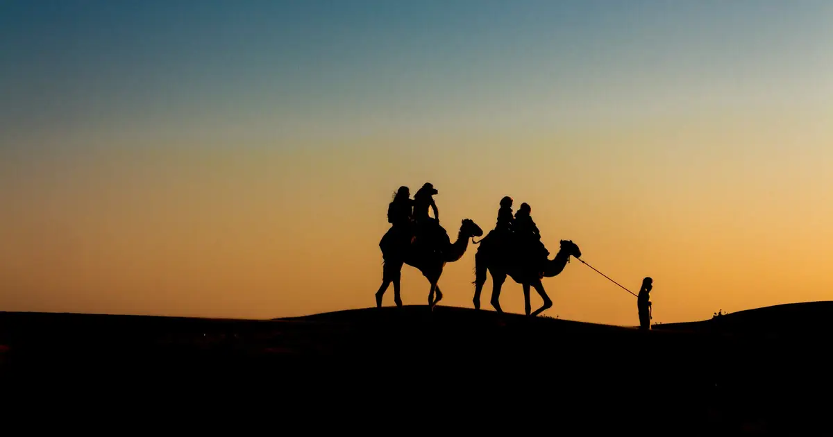 How political, cultural, and economic forces can shape the risk of zoonotic disease