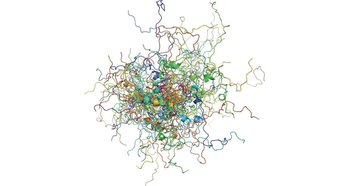 Cancer protein p53 observed in action reveals more order than expected