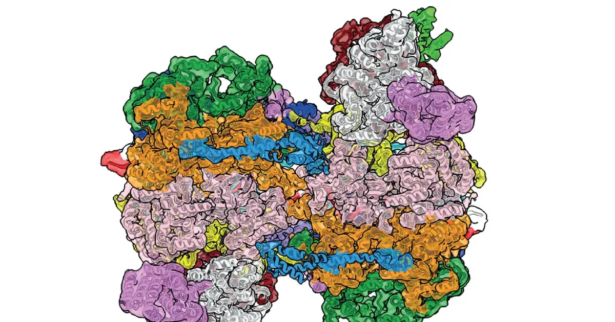 Missing DNA replication step revealed in first image of pre-initiation complex
