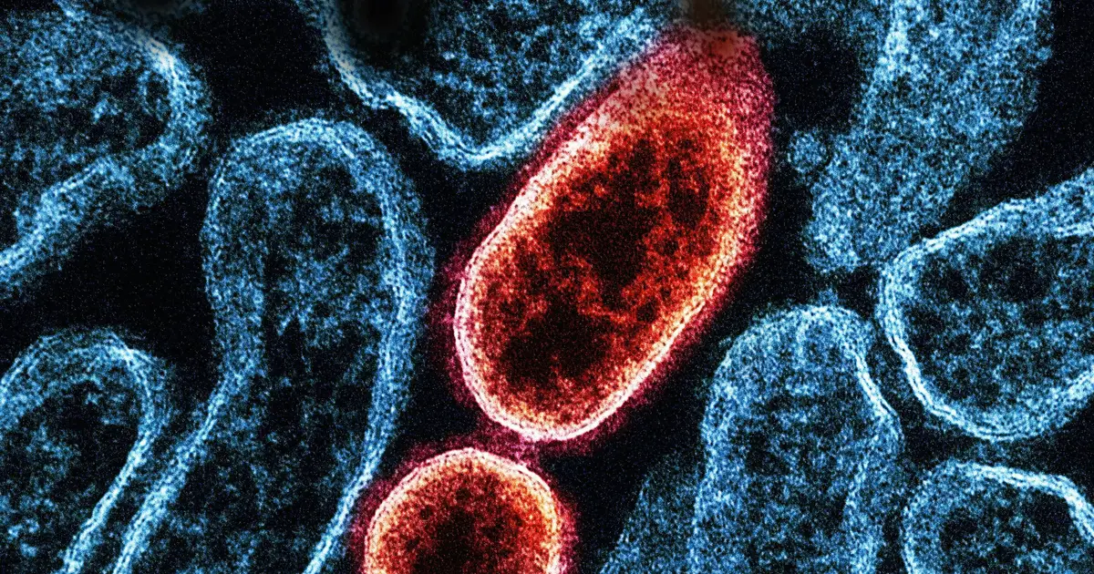 STING protein: Study finds new ways for the body to activate and possibly control inflammation