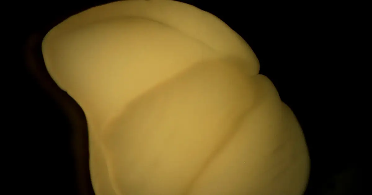 Cerebroid study hints at how maternal inflammation may influence fetal brain development
