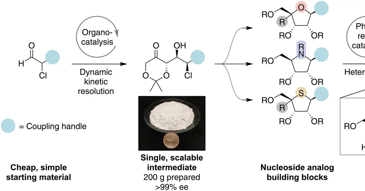 Light-driven chemistry method could create antiviral compound libraries 10 to 100 times larger within weeks
