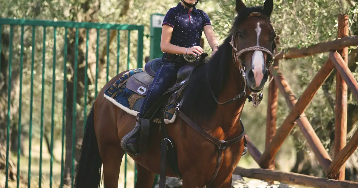 Horse-assisted therapy linked to lower stress in children with autism, study finds