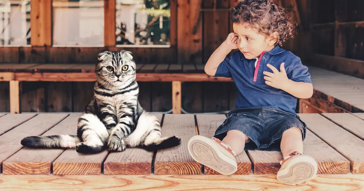 Living with cats does not worsen asthma in children, suggests study
