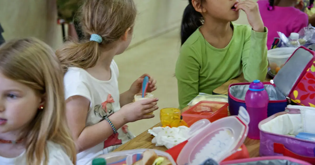 How animal identifiability affects children's food choices