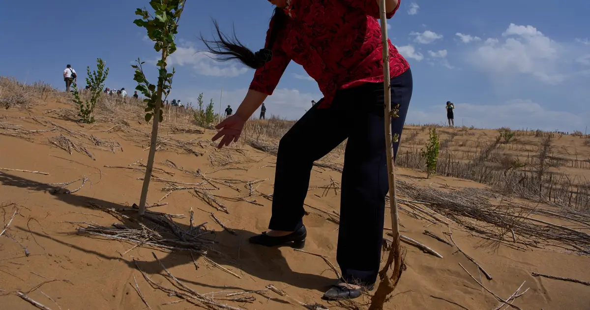 China's 'Green Great Wall' tames desert growth, but scientists warn the fight is not over