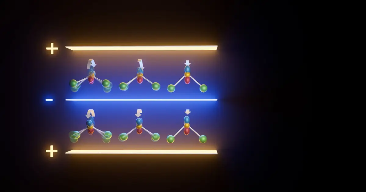 Reversible electric control unlocks persistent chiral phonon states