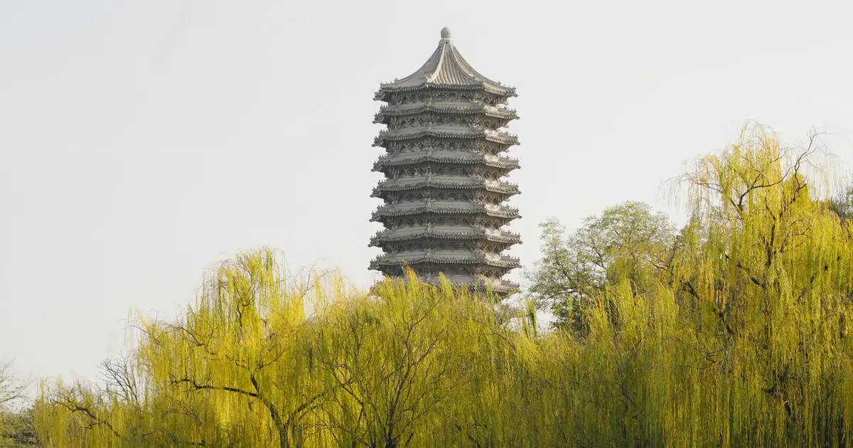 Beijing's isoprene-emitting trees highlight ozone risks in greener, hotter cities