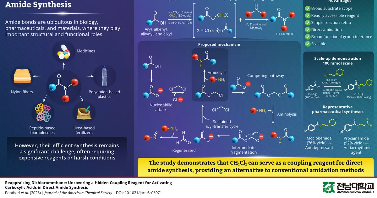 How a century-old solvent can enable efficient amide synthesis