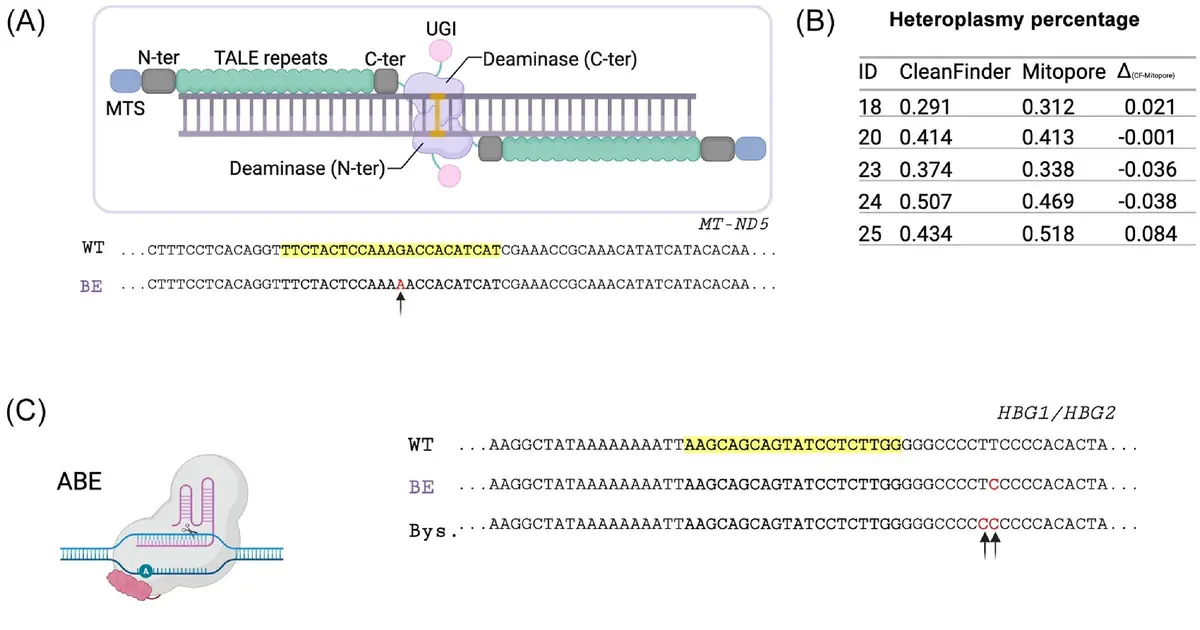 CleanFinder brings browser-based genome editing analysis to labs without coding