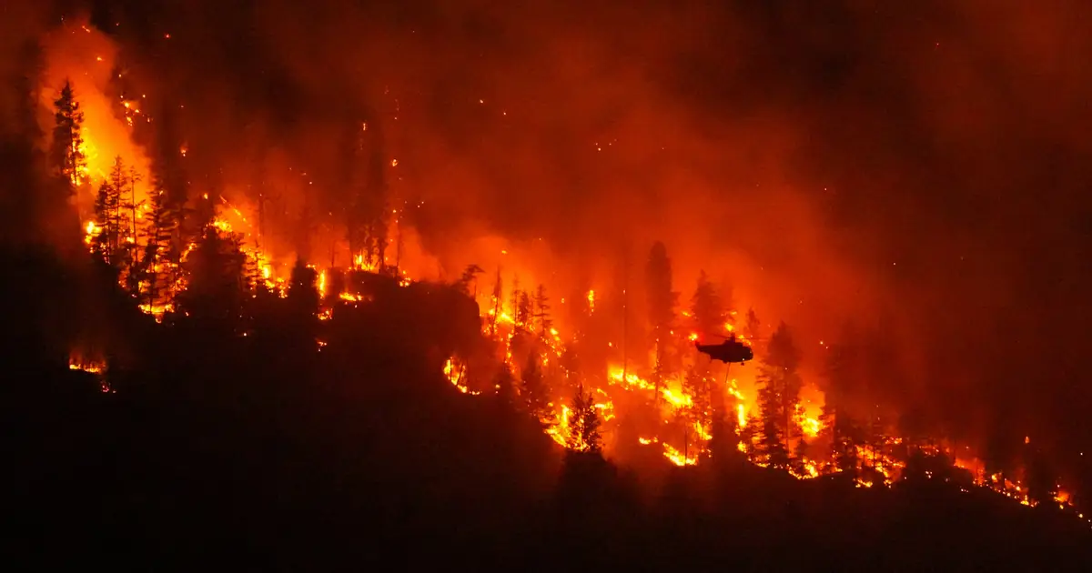 Climate change contributed to big Canada fires, study says as Trump blames mismanagement