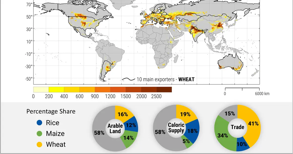 Climate change could triple the price of wheat