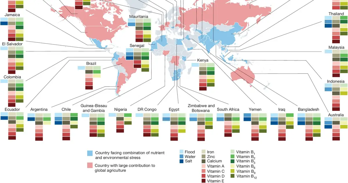 Why climate change could make staple crops less nutritious—and how CRISPR may help