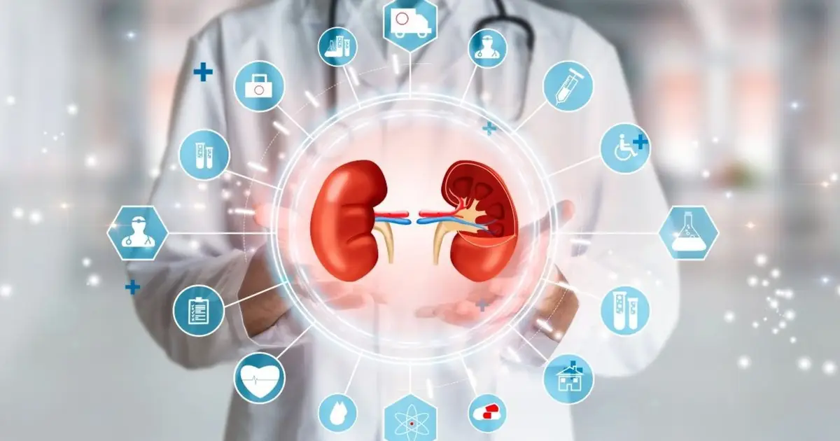 Clinical decision support system does not improve chronic kidney disease outcomes