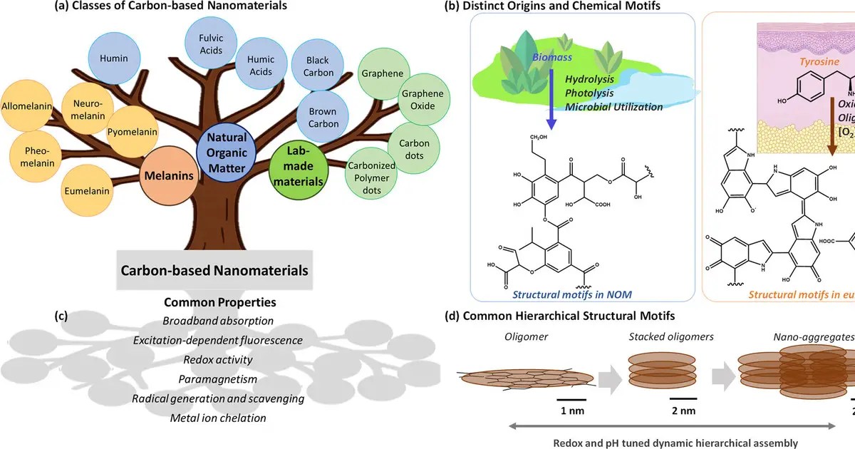 Common nanostructures may explain shared photoproperties in two widespread dark materials