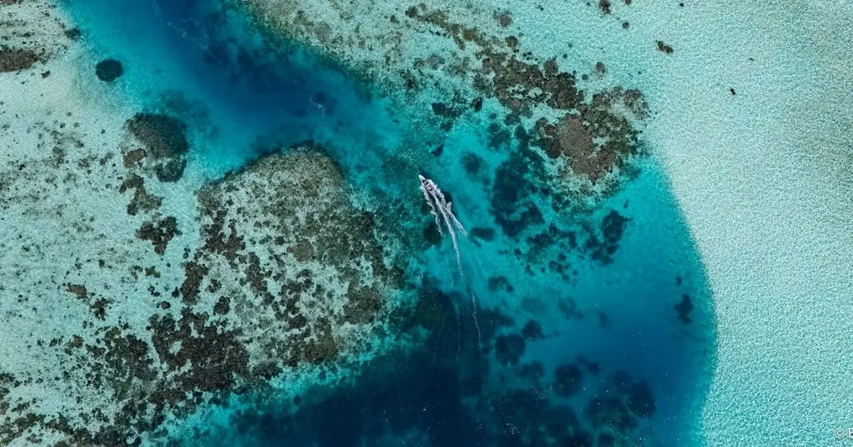 Conservationists are discovering 'bright spots' around the globe. Here's why they matter