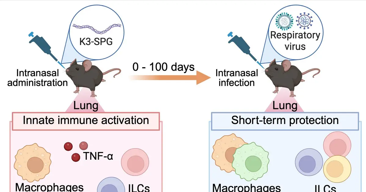 Nasal vaccine additive improves flu survival in mice even 100 days after treatment