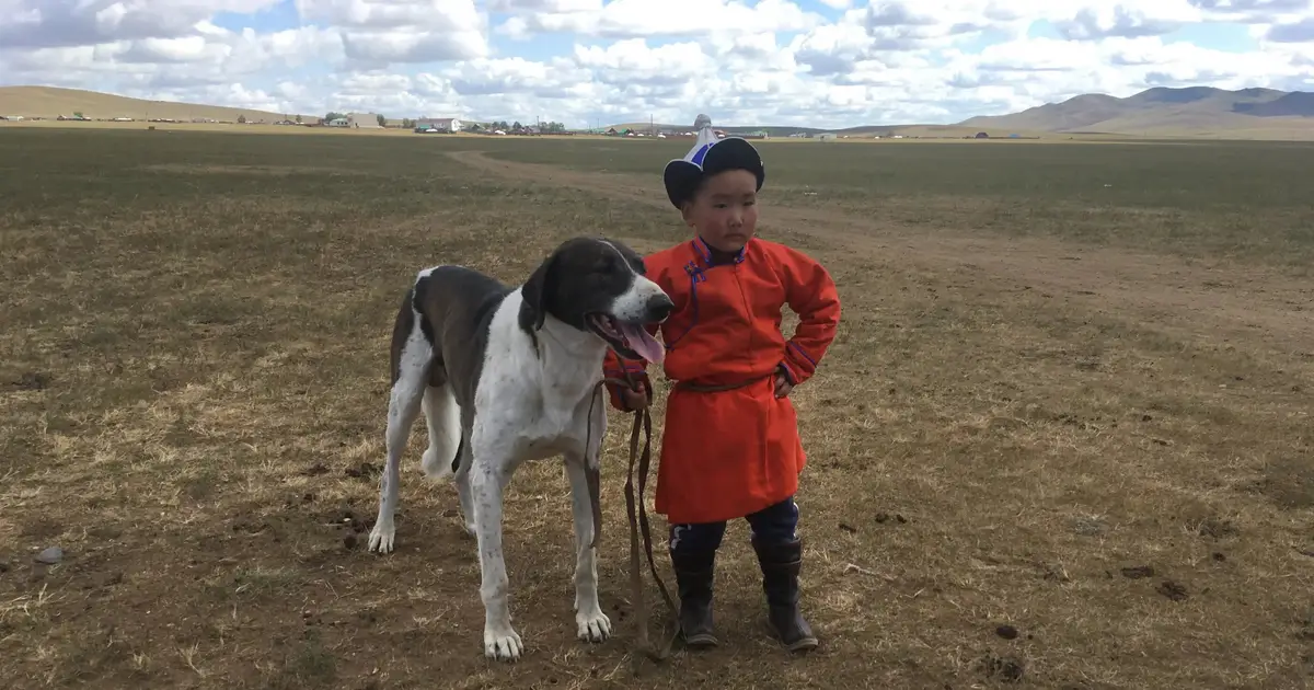 The bond between humans and dogs remains remarkably consistent across societies, cross-cultural study reveals