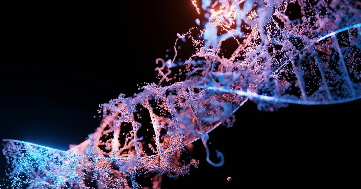 New findings explain how cells assemble machinery to repair damaged DNA