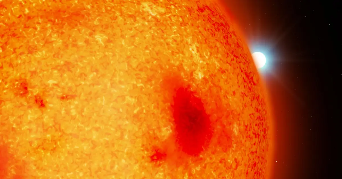 Dead stars in our cosmic backyard: Astronomers spot four white dwarfs hiding under our noses