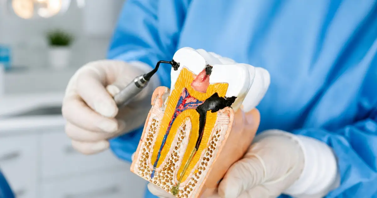 Disclosing past substance use in medical and dental school applications could hurt admissions prospects, study finds