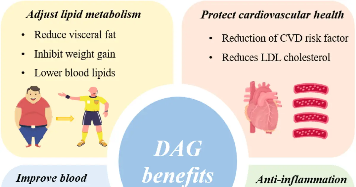 Diacylglycerols for cleaner oil processing, functional foods and medical nutrition