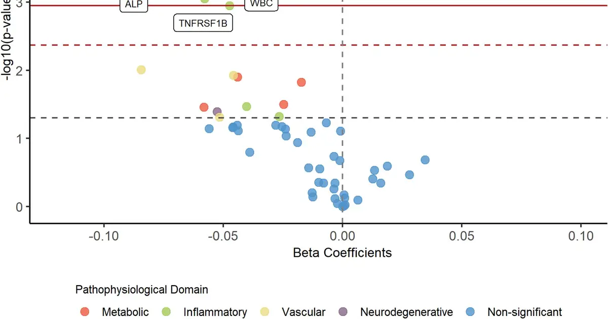 Dietary patterns linked to favorable blood biomarkers relevant to aging