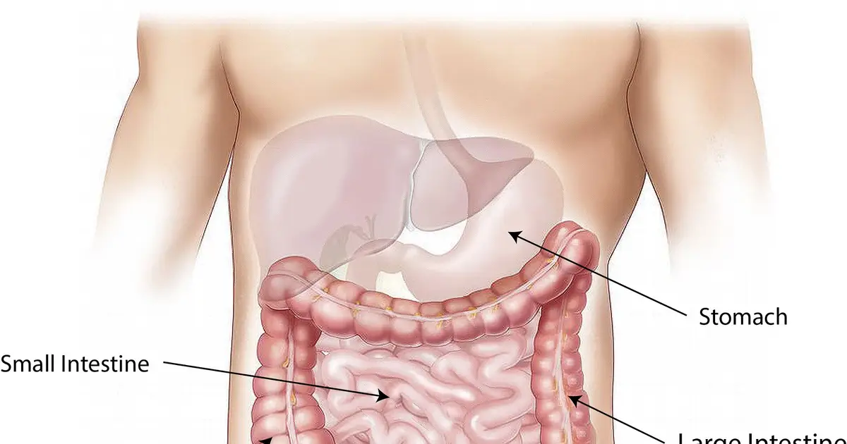 Major study reveals key differences in bowel cancer before and after age 50