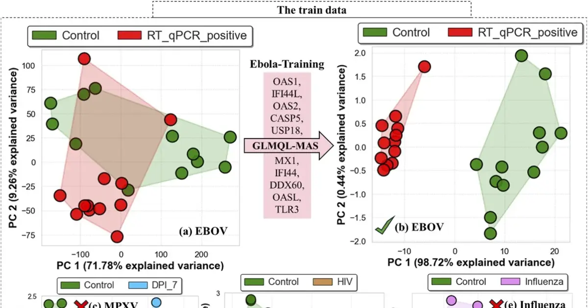Discovery of a new gene pattern could help doctors identify Ebola faster and more accurately
