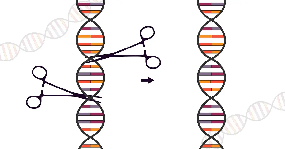 DNA 'nicks' make for safer, more precise genetic analysis