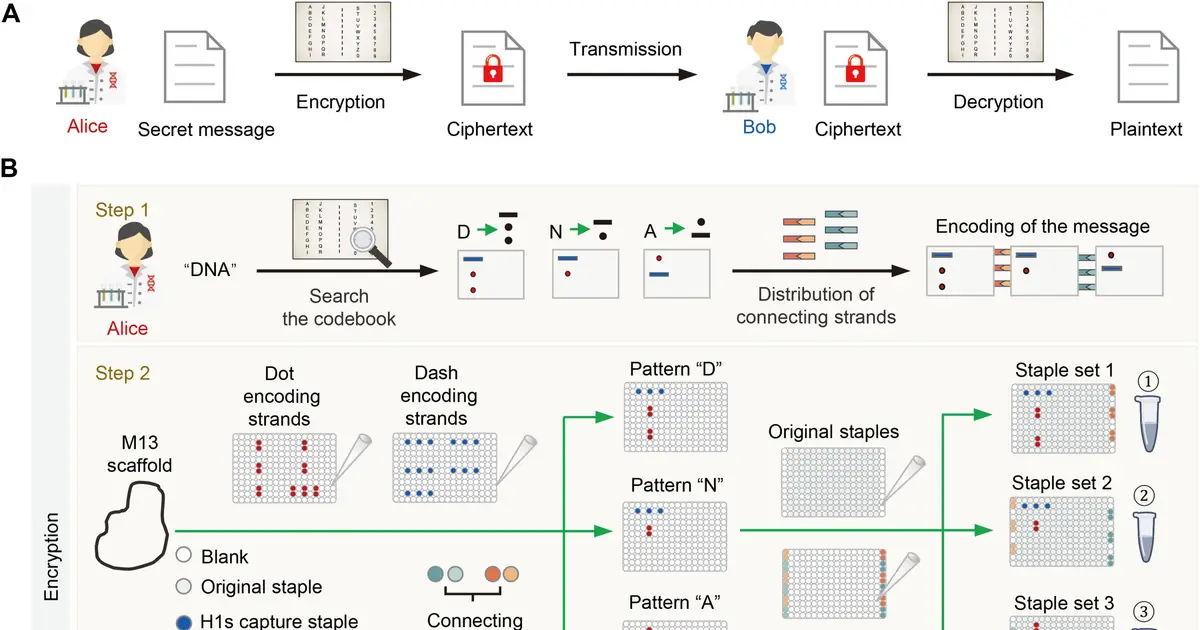 DNA origami turns secret messages into nano–Morse code that acts as multiplayer molecular encryption